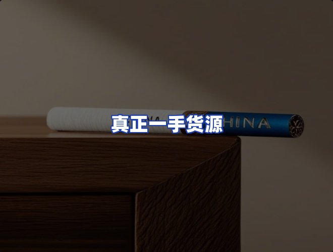 专业团队